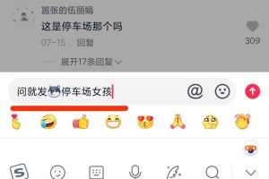 dy网传-温婉Wenwan