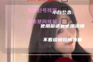 和平插件全防(300买的