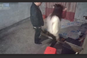 城中村150元的爱情