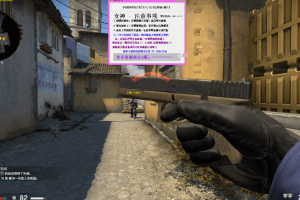 小编 CSGO·女神 – 5E专用 – 文字透视自瞄