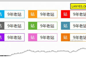 蓝叶Emlog程序网站显示年龄插件