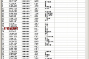 QQ群拉假人软件，QQ群加假人好友辅Zhu软件，加好友后拉人自动进群