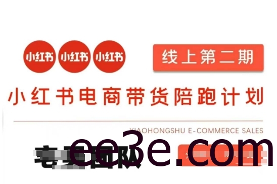 小红书电商带货课2期，月利润20个的小红书电商的有货源，无货源，虚拟产品，付费投流等整套玩法