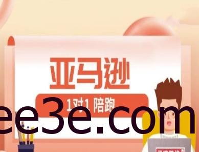 亚马逊1对1陪跑课(FBA/FBM精铺)跨境亚马逊教程