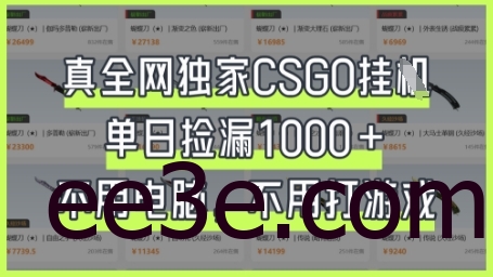 真全网独家CSGO挂G，单日捡漏1k+【揭秘】
