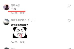 筷手-小1球（雅）私人浮力