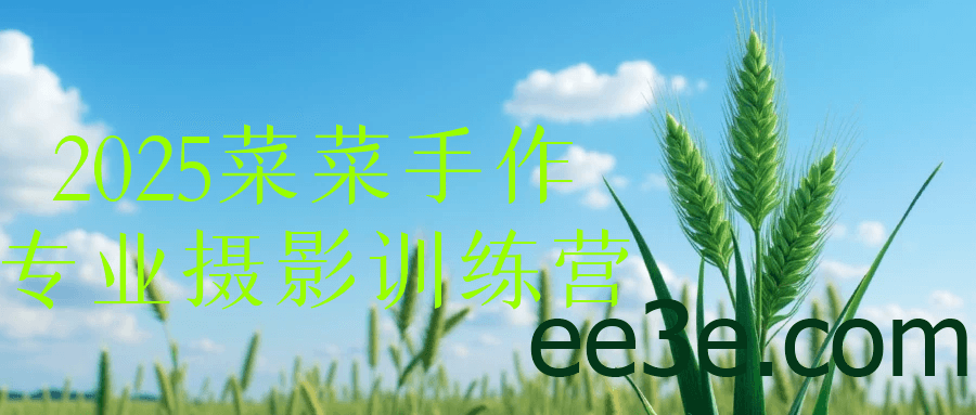 2025菜菜手作专业摄影训练营