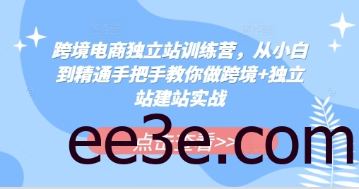 跨境电商独立站训练营，从小白到精通手把手教你做跨境+独立站建站实战