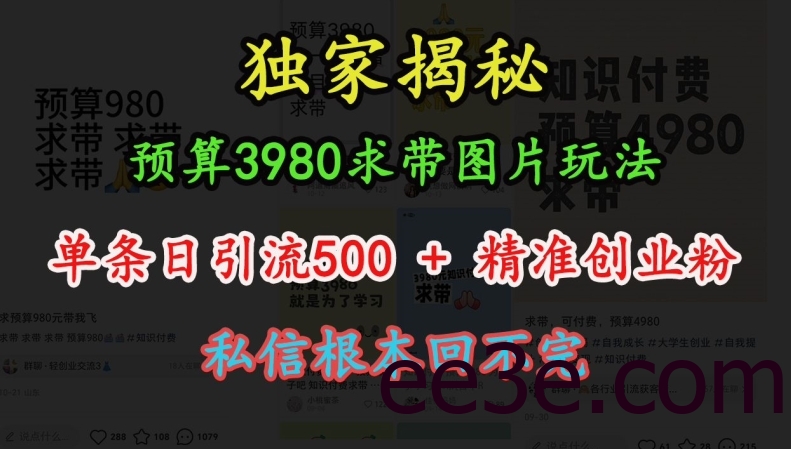 预算3980求带 图片玩法，单条日引流500+精准创业粉，私信根本回不完