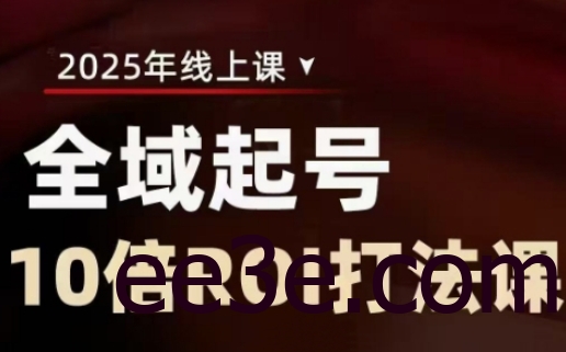 2025全域起号10倍ROI打法课，助你提升直播间的投资回报率