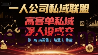 一人公司私域联盟，高客单私域，强人设成交，建私域 搞发售 广结盟 造势能