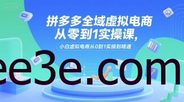 拼多多全域虚拟电商从零到1实操课，小白虚拟电商从0到1实操到精通