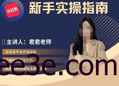 君君-小红书电商从入门到精通，新手实操指南