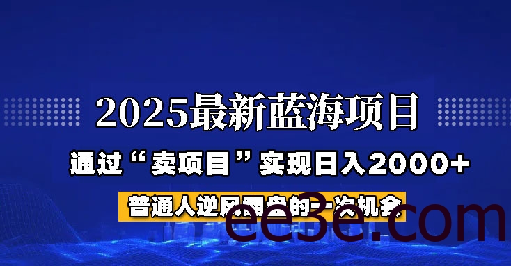 2025年蓝海项目，如何通过“网创项目”日入2000+