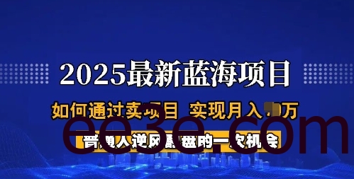 2025蓝海项目，普通人如何通过卖项目，实现月入过W，全过程【揭秘】