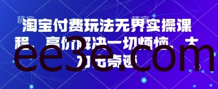 淘宝付费玩法无界实操课程，高价解决一切烦恼，大力出奇迹