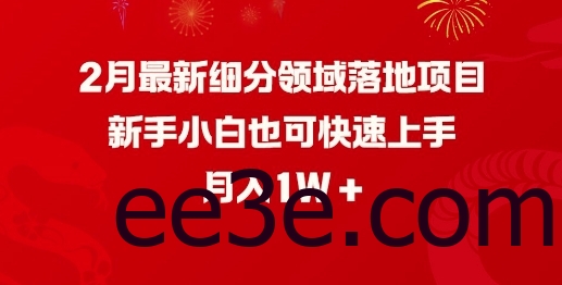 2月最新细分领域落地项目，新手小白也可快速上手，月入1W