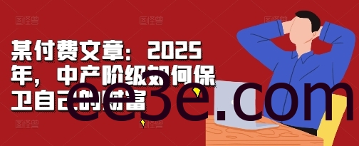某付费文章：2025年，中产阶级如何保卫自己的财富