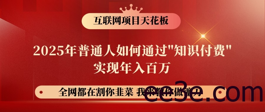 网创项目终点站-镰刀训练营超级IP合伙人，25年普通人如何通过“知识付费”年入百万
