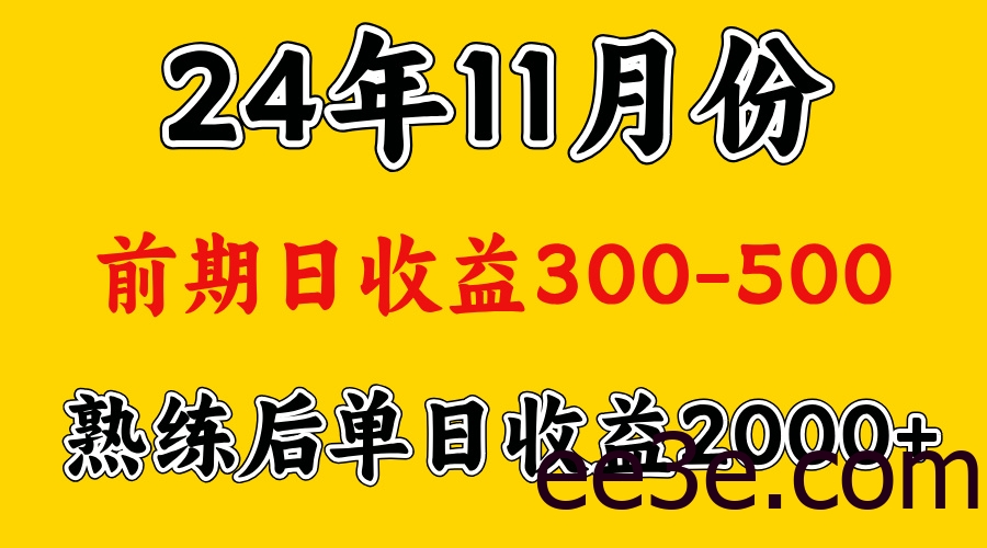 轻资产项目，前期日收益500左右，后期日收益1500-2000左右，多劳多得