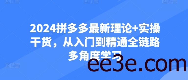 2024拼多多最新理论+实操干货，从入门到精通全链路多角度学习