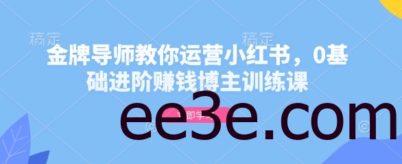 金牌导师教你运营小红书，0基础进阶赚钱博主训练课