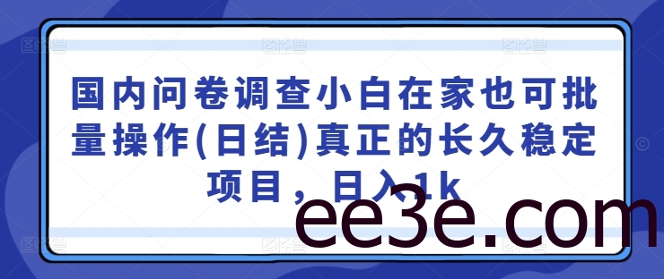 国内问卷调查小白在家也可批量操作(日结)真正的长久稳定项目，日入1k【揭秘】