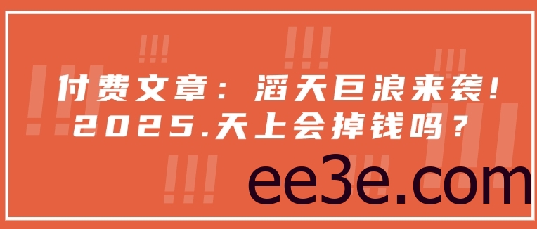 付费文章：滔天巨浪来袭！2025天上会掉钱吗？