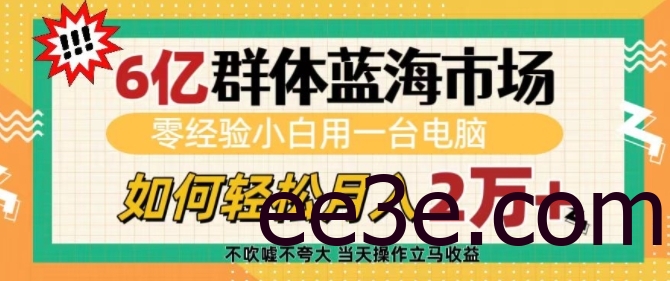 6亿群体蓝海市场，零经验小白用一台电脑，如何轻松月入过w【揭秘】