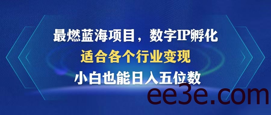 最燃蓝海项目 数字IP孵化 适合各个行业变现 小白也能日入5位数