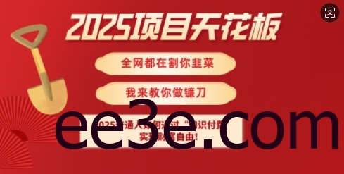 2025项目天花板普通人如何通过知识付费，实现财F自由【揭秘】
