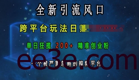 全新引流风口，跨平台玩法日入上k，单日狂揽200+精准创业粉，一个被严重忽略的视频平台