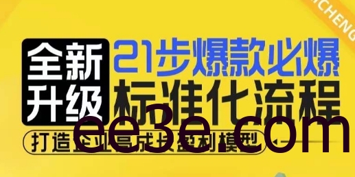21步爆款必爆标准化流程，全新升级，打造企业高成长盈利模型