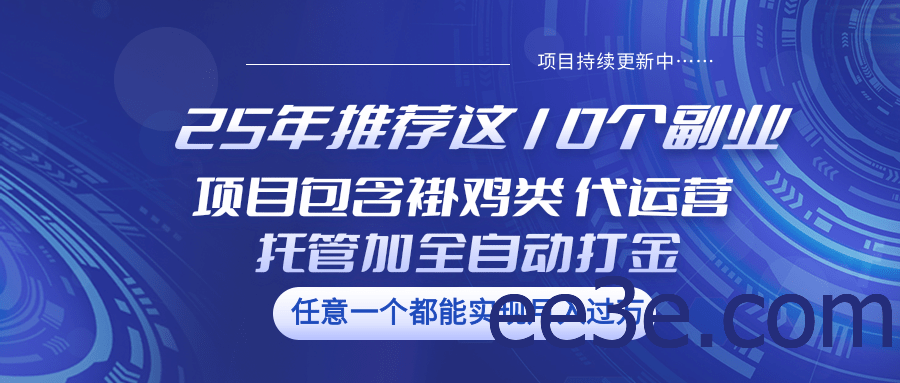 25年推荐这10个副业 项目包含褂鸡类、代运营托管类、全自动打金类