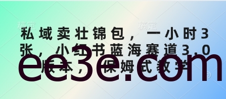 私域卖壮锦包，一小时3张，小红书蓝海赛道3.0版本， 保姆式教学