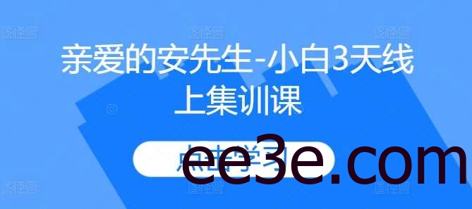 亲爱的安先生-小白3天线上集训课