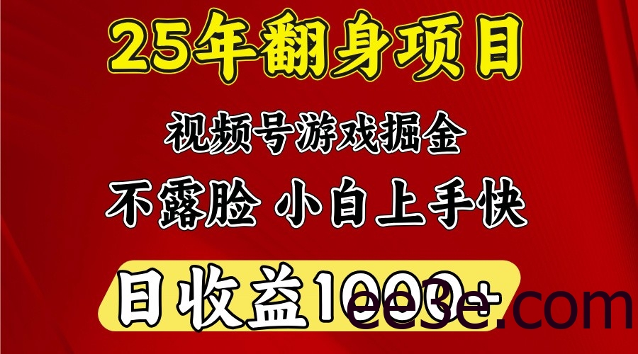 一天收益1000+ 25年开年落地好项目
