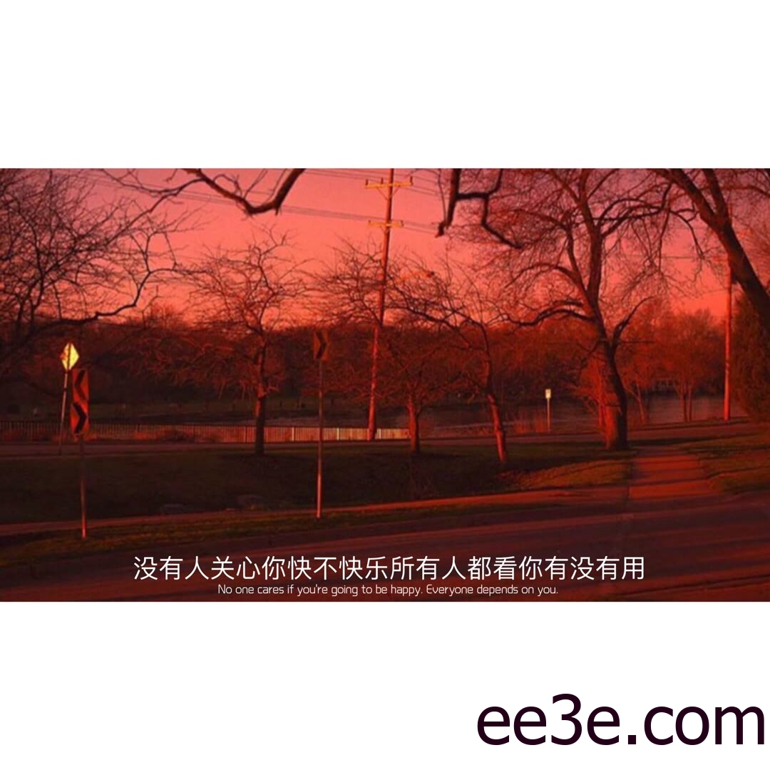 歌曲分享：向阳花