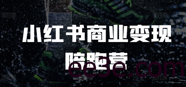 小红书商业变现陪跑营，小红书电商教程