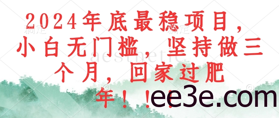2024年底最稳项目，小白无门槛，坚持做三个月，回家过肥年！！！