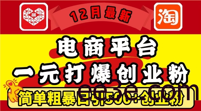 12月最新：电商平台1元打爆创业粉，简单粗暴日引500+精准创业粉，轻松月入过W【揭秘】