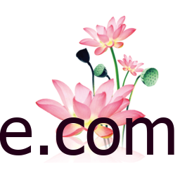 Android 水墨工具箱 v9.9.9 多功能工具箱